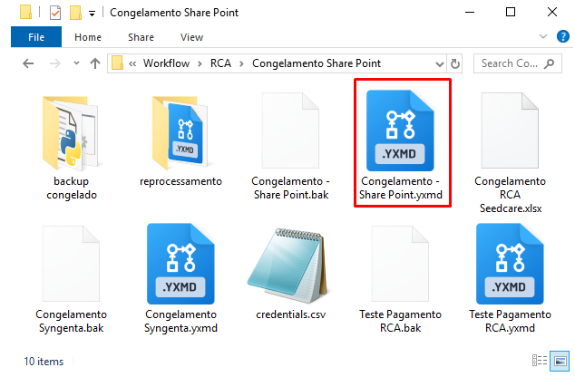 diretório workflow screenshot