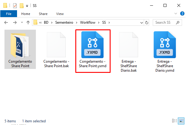 diretório workflow screenshot